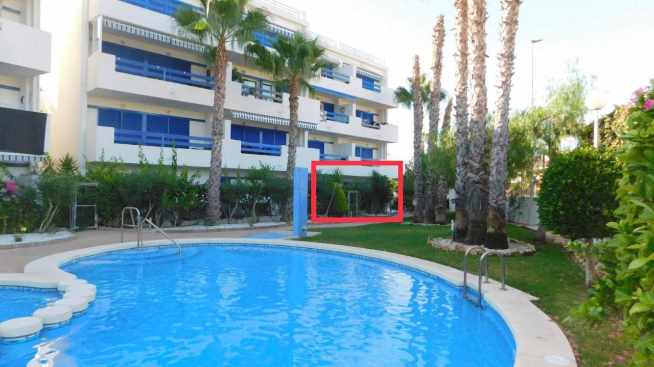Coral House - La Calma - Playa Flamenca - Big Terrace & 4 Swimming Pools.アパートメント エクステリア 写真