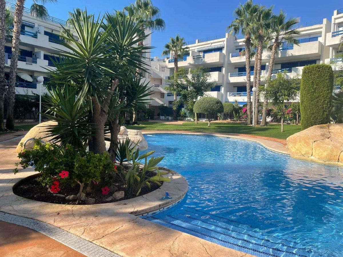 Coral House - La Calma - Playa Flamenca - Big Terrace & 4 Swimming Pools.アパートメント エクステリア 写真
