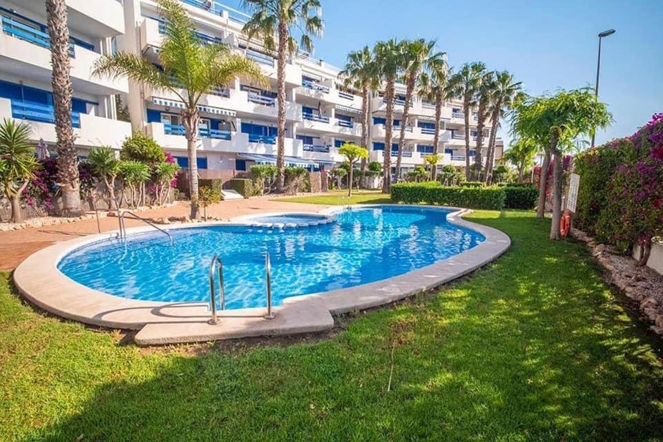 Coral House - La Calma - Playa Flamenca - Big Terrace & 4 Swimming Pools.アパートメント エクステリア 写真